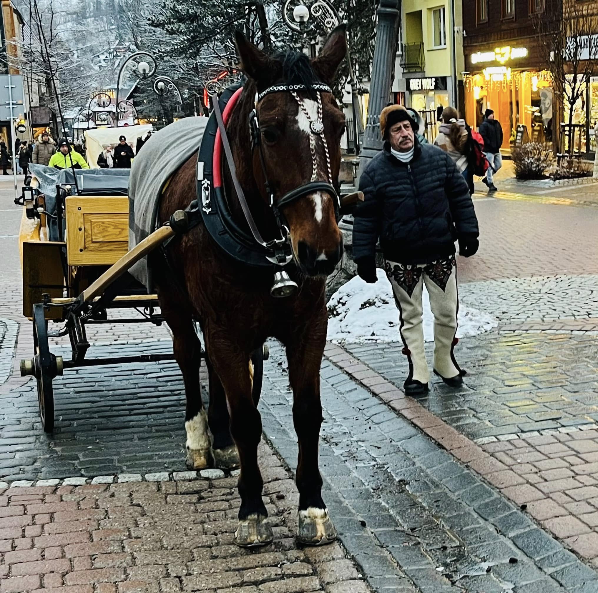 A képen látható helyszín a lengyelországi Zakopane sétálóutcája, a Krupówki. - Z(s)eppelin utazás
