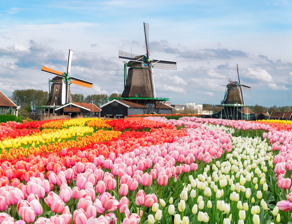 Ez a kép a hollandiai Zaanse Schans skanzent ábrázolja.  - Z(s)eppelin utazás