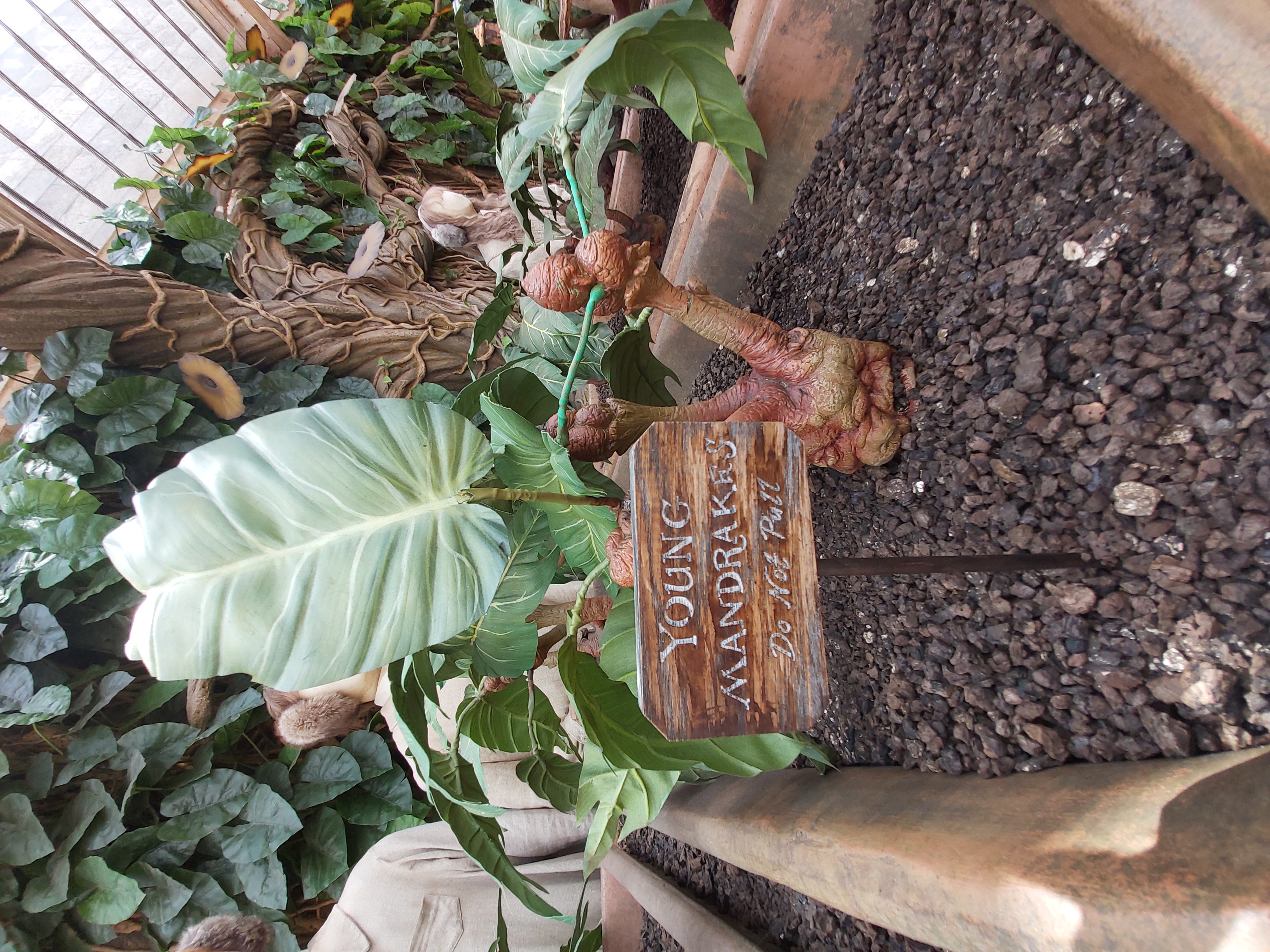 Egyesült Királyság utazás a Z(s)eppelinnel