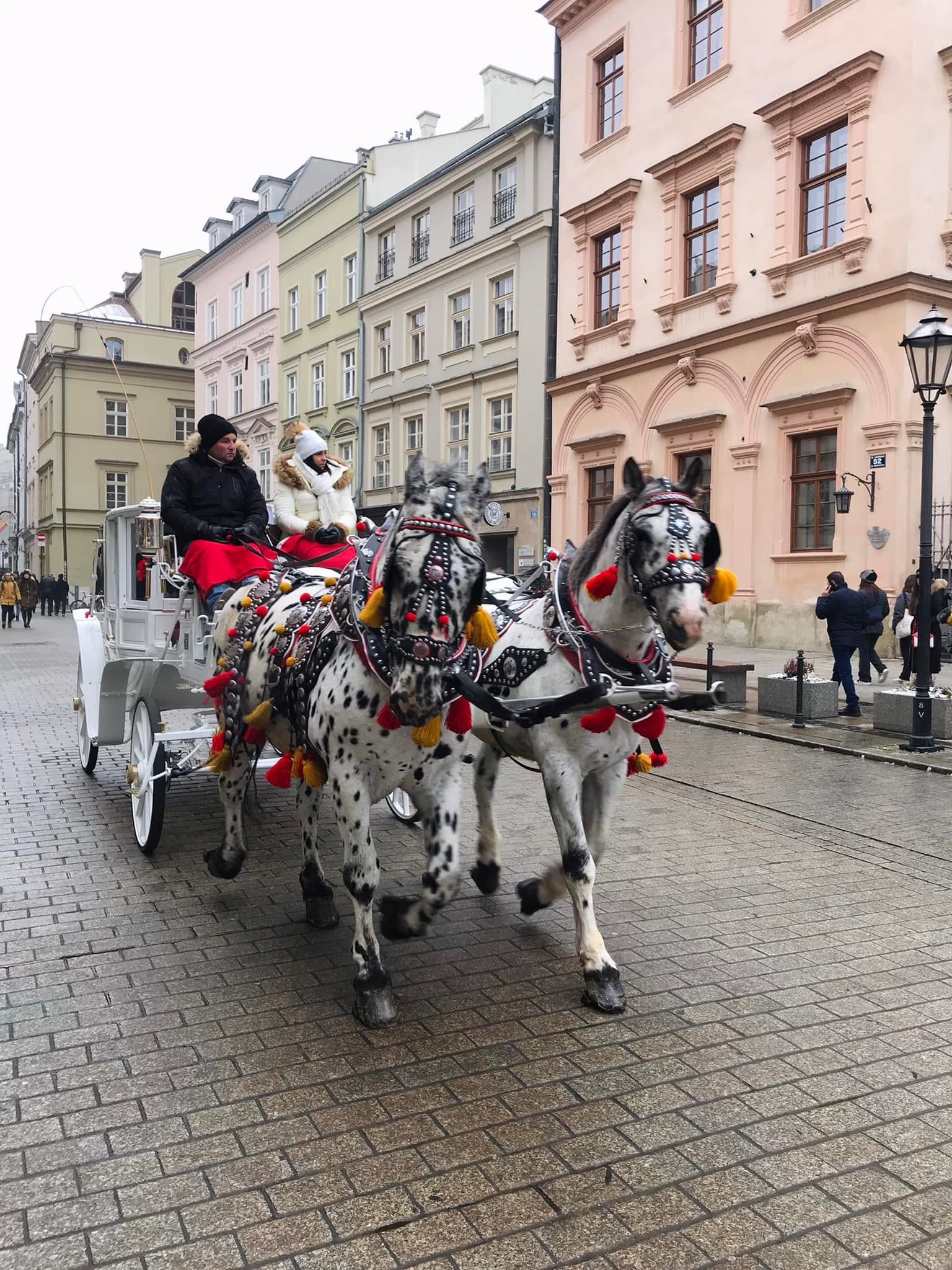 Ez a kép Lengyelországban, Krakkó óvárosában készült. - Z(s)eppelin utazás