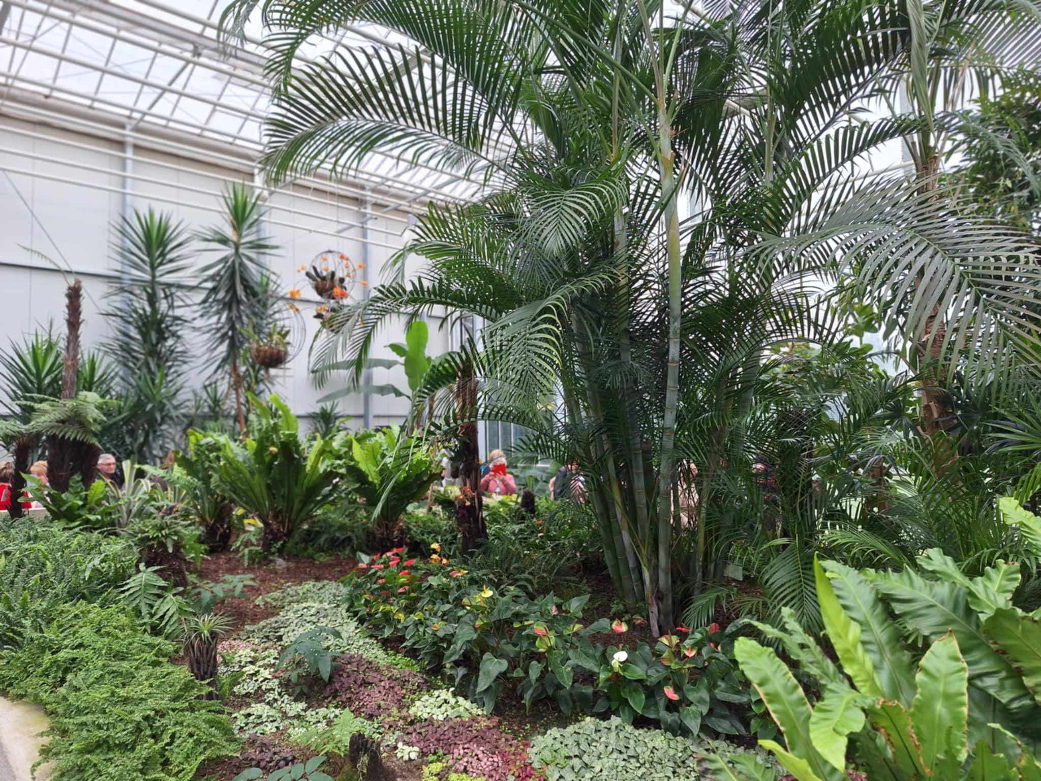 Virágzó utazások utazás a Z(s)eppelinnel