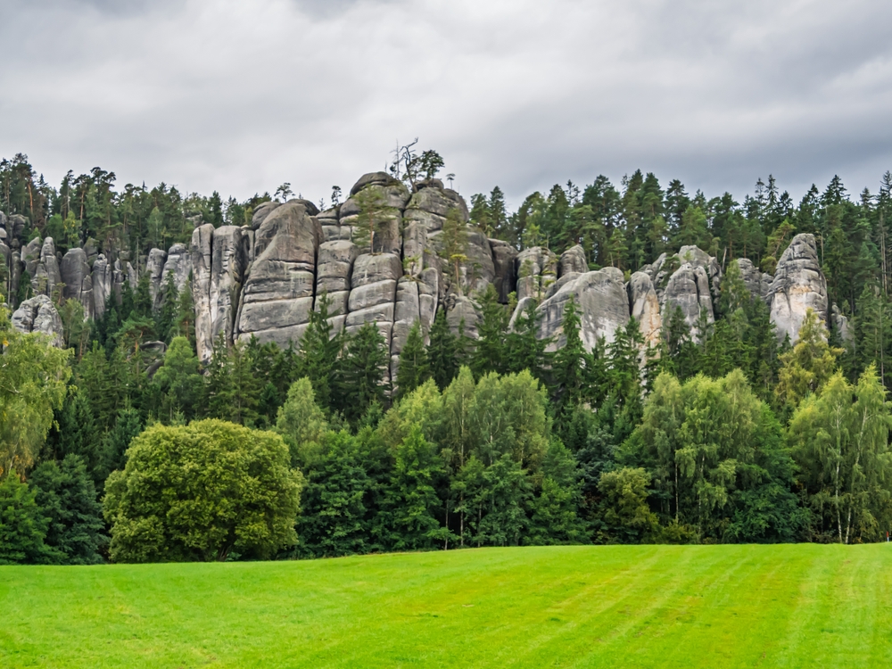 Természet utazás a Z(s)eppelinnel