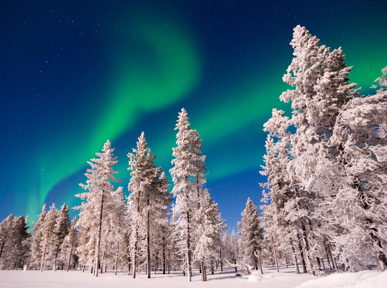 LAPPFÖLD ÉS AZ ÉSZAKI-FOK SARKIFÉNNYEL - Irány Európa legészakibb pontja, az Északi-fok és a mesés sarkifény birodalma, havas téli fotó